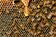 9a535499-989d-448c-a389-2710c66d3e1f.jpeg
