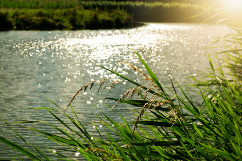 1f02f32b-83ec-4562-ba98-b356fe4a86f5.jpeg