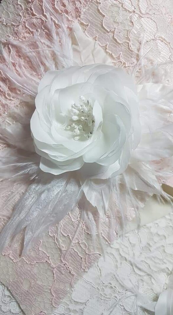 41312f8a-257e-407a-a3b9-c32d4514dd4c