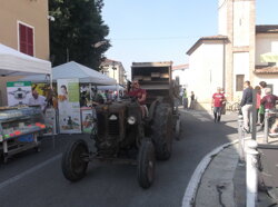 e677dd81-12f3-4a6c-9790-adcf7cb4d296