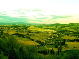 09deb6e2-fc4e-4ff8-a225-29c08071d9e0