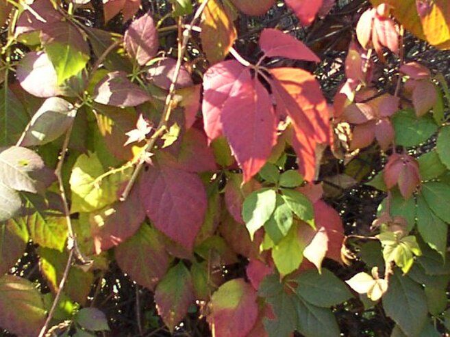 f33701df-c4ae-402f-963a-e756ce64a645