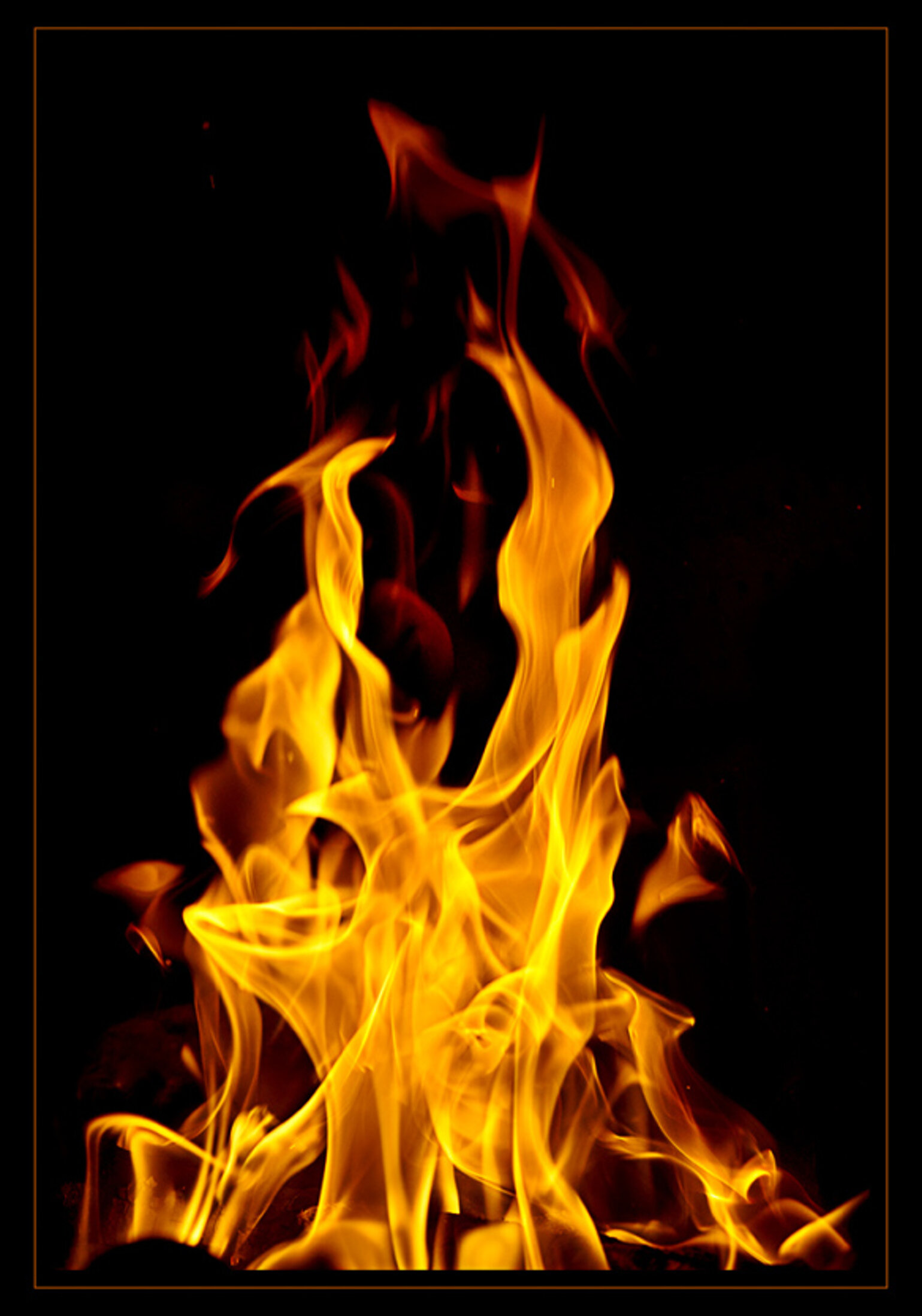 927a1ebd-f7a6-4c0c-9294-8af5bf599383