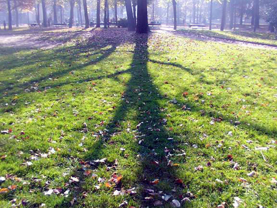 8ef8b0c5-d5e8-4ec1-a9d1-70930f0c249d