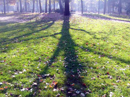 55e5e3a1-aa99-453a-a84b-39083677782b