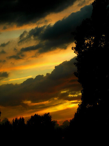 cb9b8d6a-aa97-4854-92e5-737d68b62789 cb9b8d6a-aa97-4854-92e5-737d68b62789