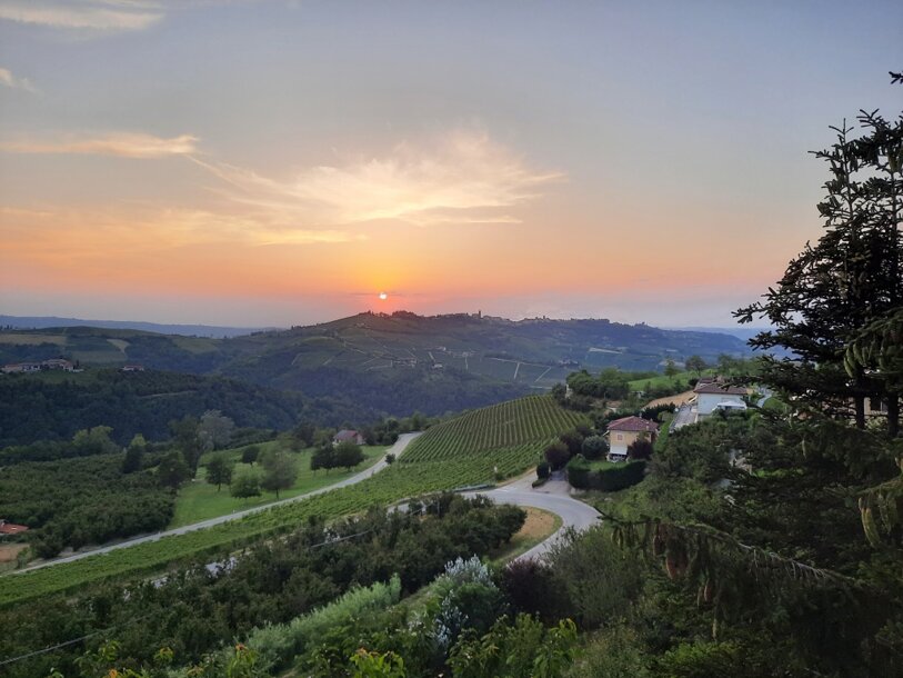 20230709_205511.jpeg 20230709_205511.jpeg