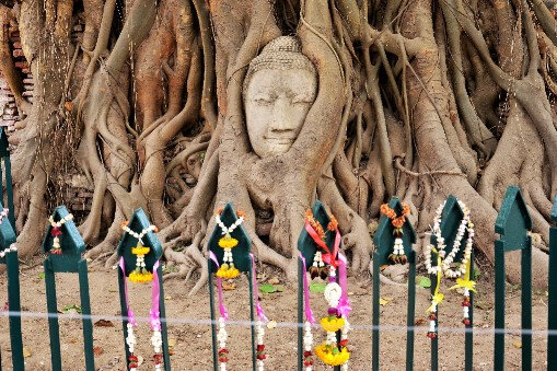 9284364e-deee-46bd-b342-55388ea1dea6 9284364e-deee-46bd-b342-55388ea1dea6