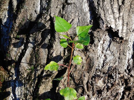 d81b95a8-0fec-4857-bc2d-14d3f2e388f6