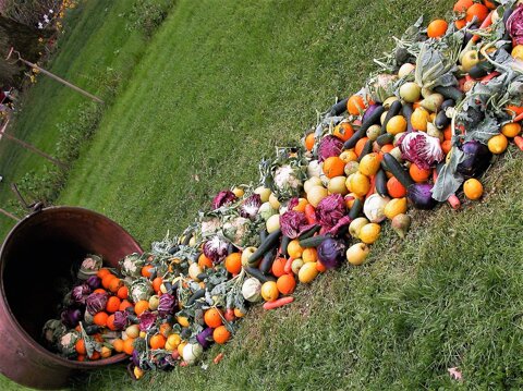 bb0ca11e-3a5b-4e8c-9e01-92206c53345e bb0ca11e-3a5b-4e8c-9e01-92206c53345e