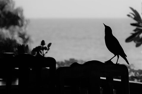 324a834e-15a1-4213-9968-d2013495136b