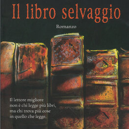 cover illustration - Salani Editore