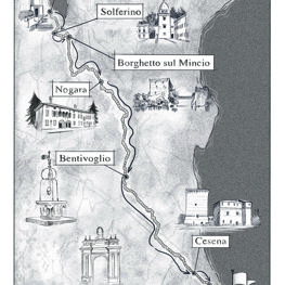 Illustration - Baldini + Castoldi