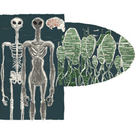 Illustration Mondadori Educational