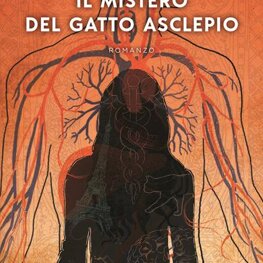 Cover romanzo Salani