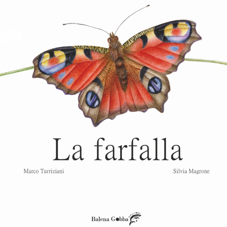 copertina_farfalla2