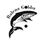 logo_bg-removebg-preview