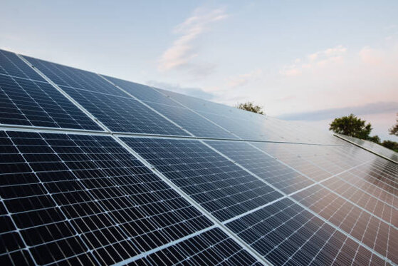 istockphoto-1302801693-612x612.jpeg