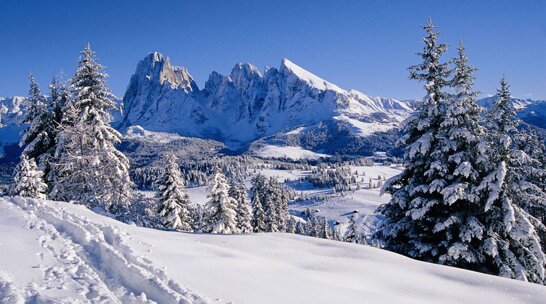 dolomiti inverno.jpeg