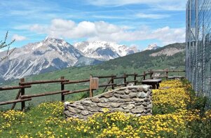 21e37f4d-5930-4e5f-8b1a-dd422e9d9177 21e37f4d-5930-4e5f-8b1a-dd422e9d9177