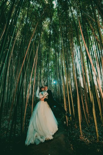 273d7594-91de-4e57-861d-a4a920cc71a2 273d7594-91de-4e57-861d-a4a920cc71a2