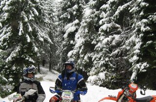 3_fettucciato.jpeg 3_fettucciato.jpeg