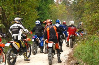 27_martinofix_zampetting.jpeg 27_martinofix_zampetting.jpeg