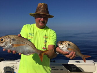 img_1577.jpeg img_1577.jpeg