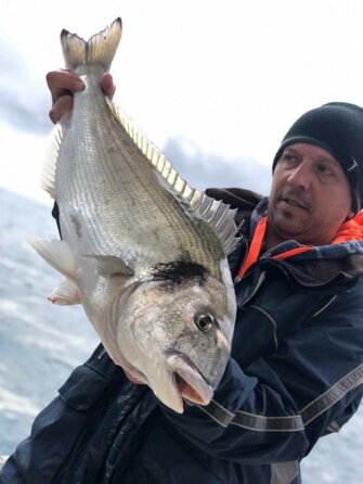 img_6569.jpeg img_6569.jpeg