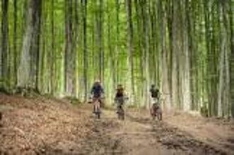 images.jpeg images.jpeg