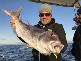 img_3919.jpeg img_3919.jpeg