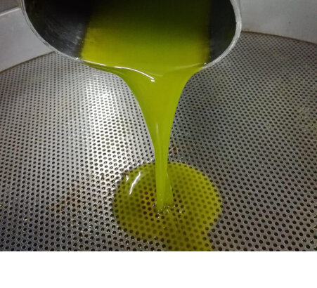 8e65cf45-a68d-49e1-838f-246def8cd5a7 8e65cf45-a68d-49e1-838f-246def8cd5a7