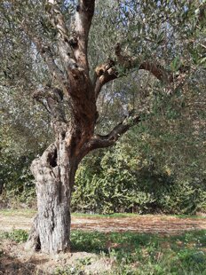 1c8eb8e1-fd14-4624-ae1a-d6185cd846e8 1c8eb8e1-fd14-4624-ae1a-d6185cd846e8