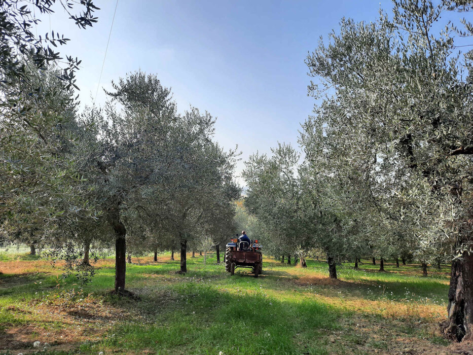 d3ba7b84-8859-4771-94da-61d067509df5 d3ba7b84-8859-4771-94da-61d067509df5