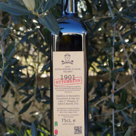 Olio extravergine di oliva 1901 Ottobrino Olio extravergine di oliva 1901 Ottobrino