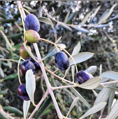 2a0a2fbd-d98c-451e-a322-cf6f85b7e73d