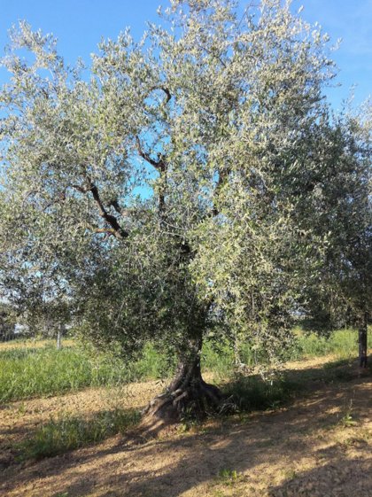 79faa439-c24b-483b-9001-23e2630bbc8b