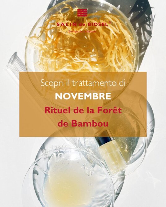 whatsapp image 2025-11-13 at 13.42.55.jpeg