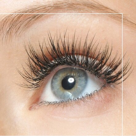 4bda69e1-9107-471f-bab5-73ad30ff58d3