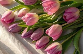 ccdcf647-9ec5-43a4-917d-5d9924b7621a.jpeg ccdcf647-9ec5-43a4-917d-5d9924b7621a.jpeg