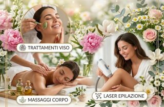 img_2224.jpeg img_2224.jpeg