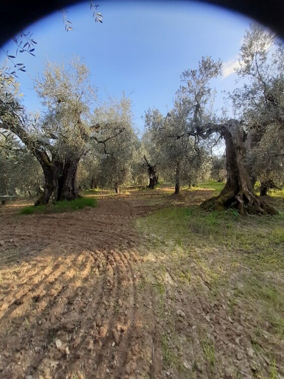 45f536de-e3ea-40d4-b6c2-c66277dcf3f9