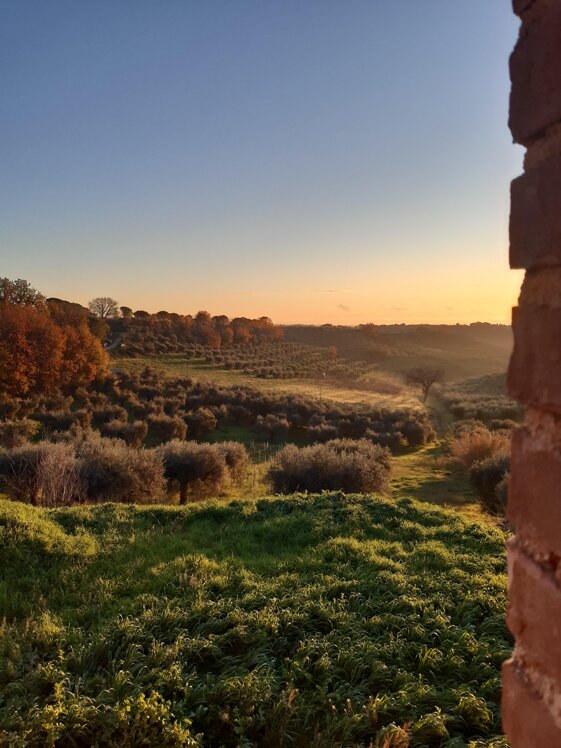 c084a2e1-6461-4aa4-8478-5a18bdbdf0e6