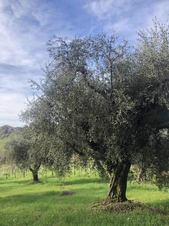 25e462f9-8b76-4894-af8c-3aa9128cf87e