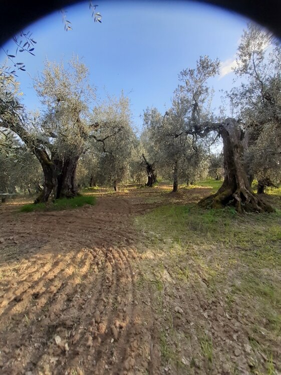 c6360e9b-d505-4be9-af9e-c0eb64348026