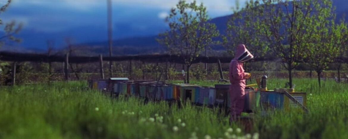 2fe7cfd5-8b76-409e-9aa8-2b98e36151af 2fe7cfd5-8b76-409e-9aa8-2b98e36151af