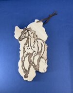 a26354-sardegna-disegno-cavallo-con-laccio