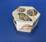 art-c200-f-cofanetto-esagonale-disegno-conchiglie