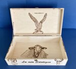 art-c157-y-cofanetto-disegno-5-animali-selvatici