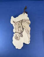a26353-sardegna-disegno-cavallo-con-laccio